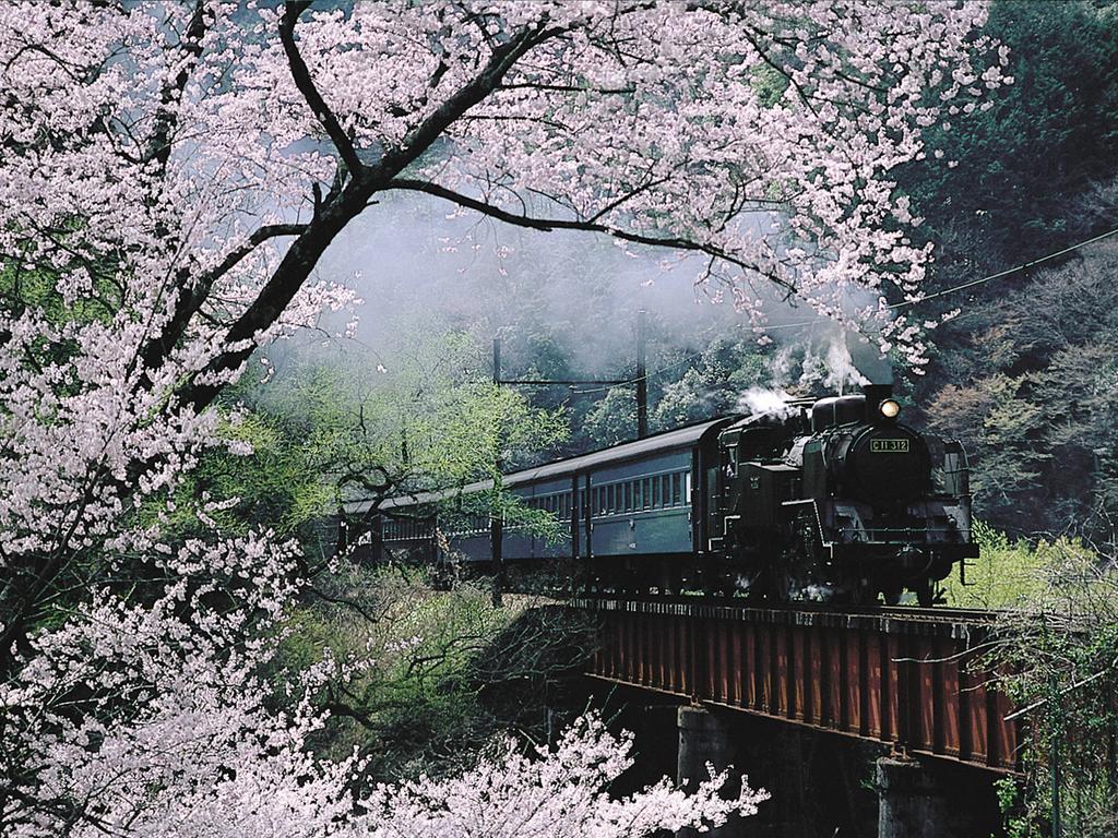 Hotel Suikoen Shizuoka Exterior foto